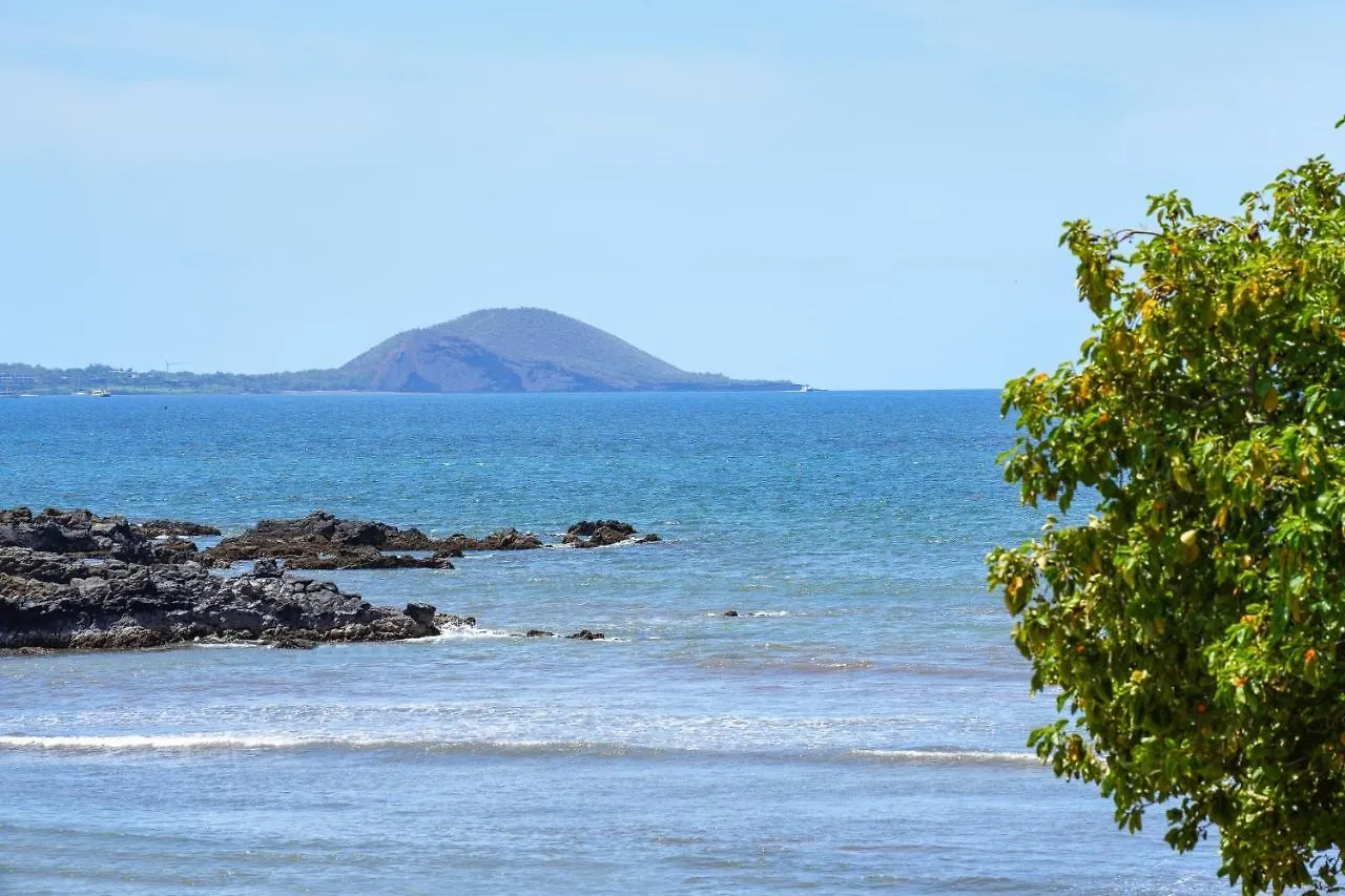 Kihei Park Shores 13 United States